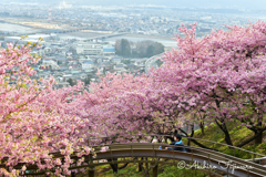 天空の遊園地