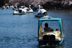 井の頭恩賜公園Ⅱ
