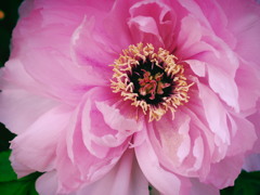 P2210078