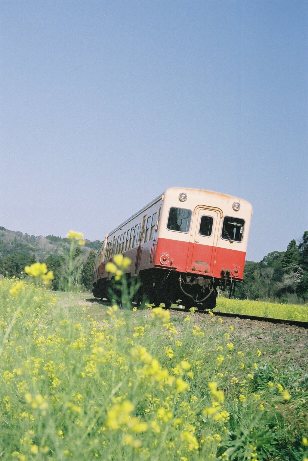 FH010018