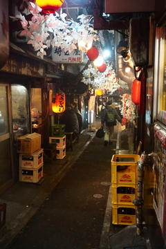 新宿這夜Ⅴ