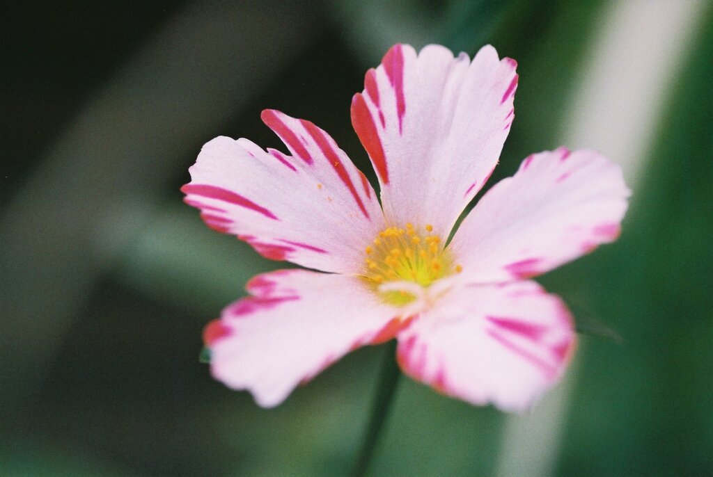 FH020028