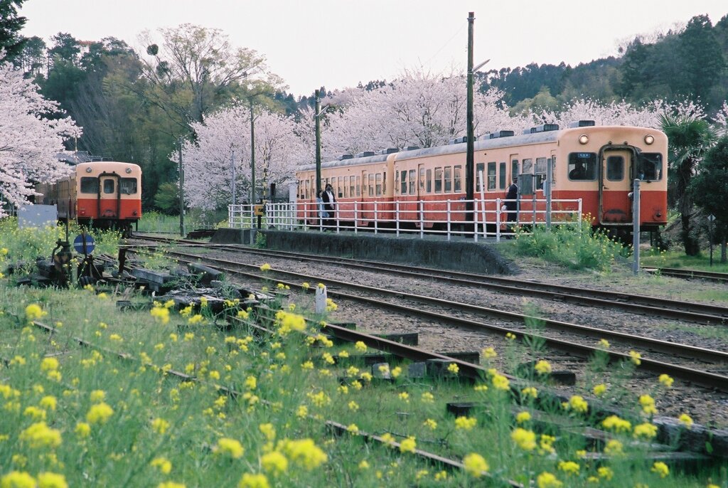 FH010029