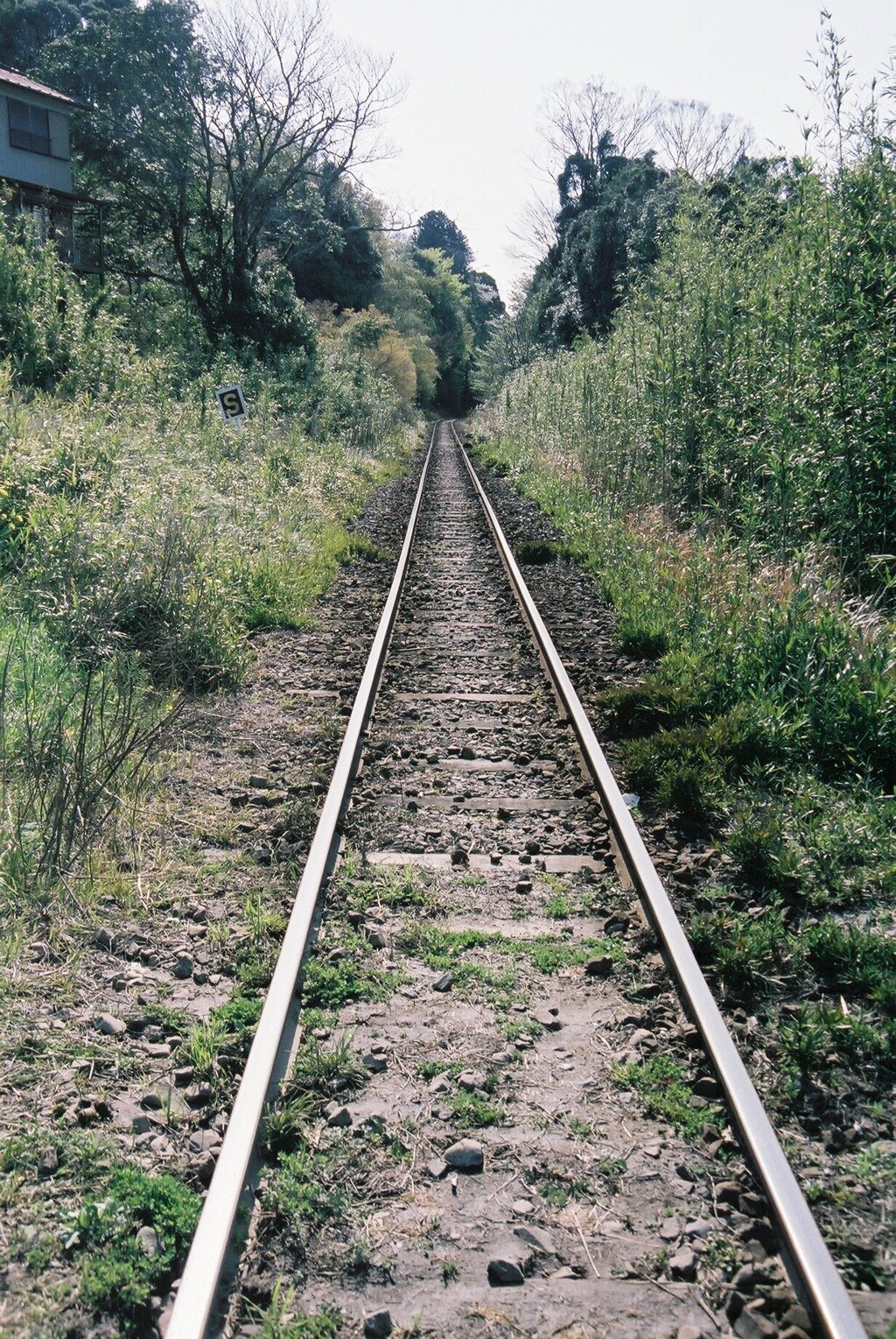 FH010021