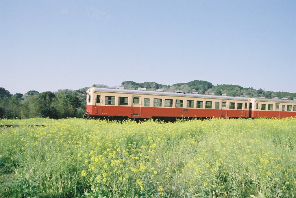 FH010016