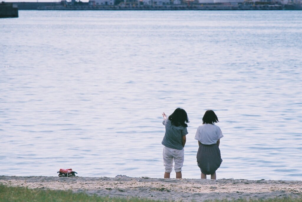 FH010009