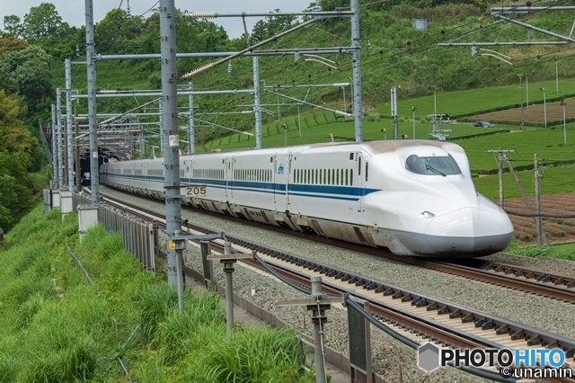 s-8A2A0075