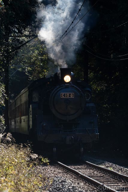 8A2A6733