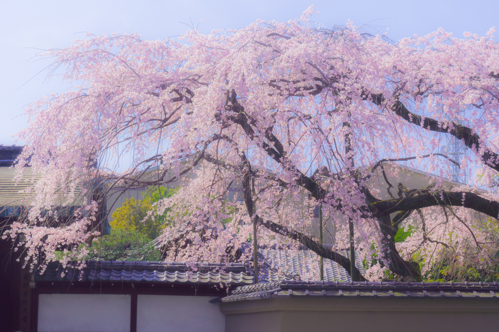 有栖川邸　京都
