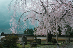 福徳寺　京北町