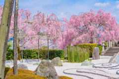 圓光寺　京都