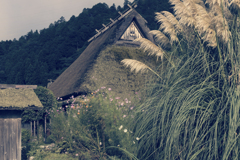 美山　茅葺の里