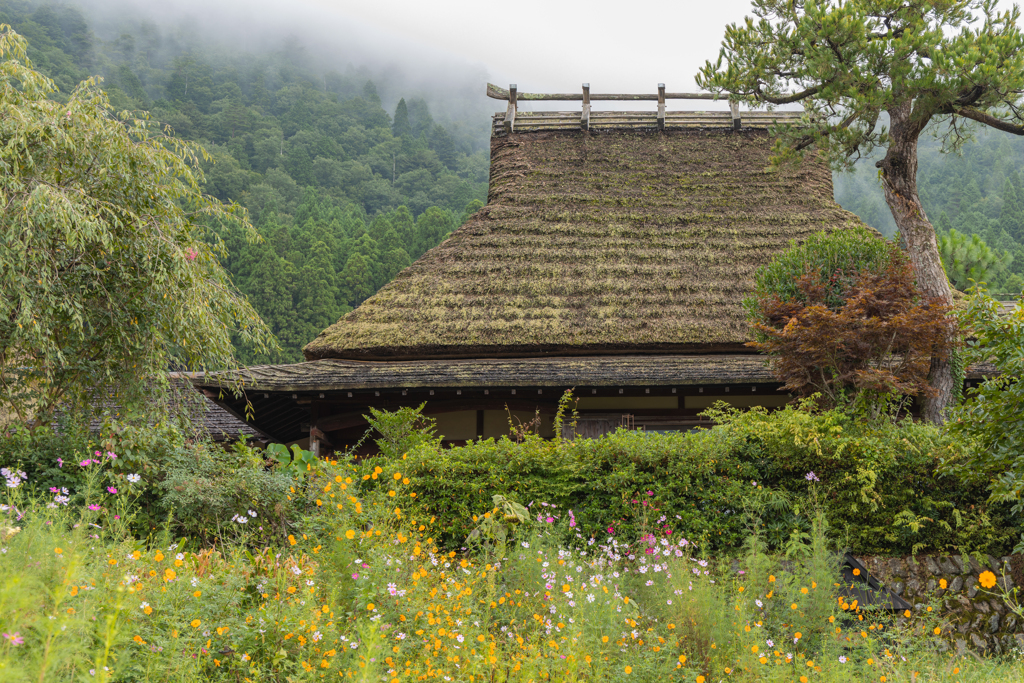 美山　茅葺の里
