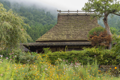 美山　茅葺の里