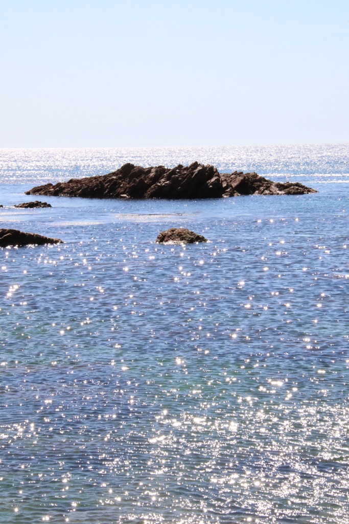 笹川流れ