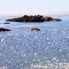 笹川流れ