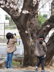 カメラ女子ーズin春の陽気