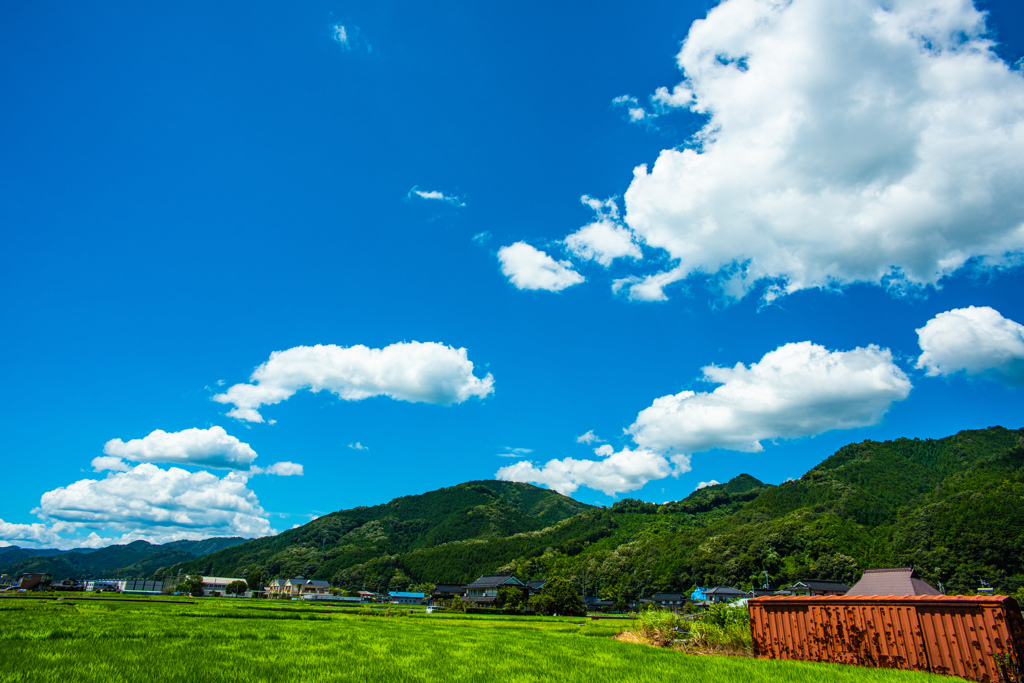 青春の後ろ姿 By Gb250 Id 写真共有サイト Photohito