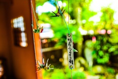 吹屋ふるさと村に