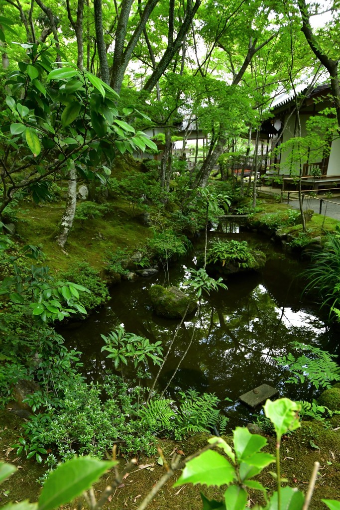 新緑の京都