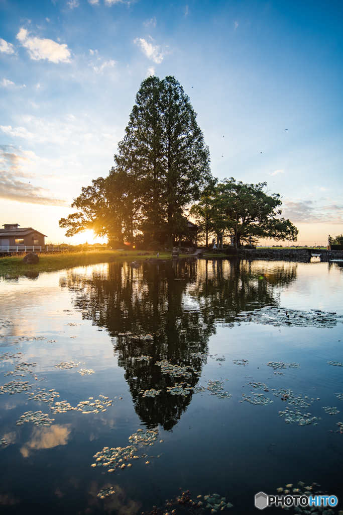 20210805縫いの池-026