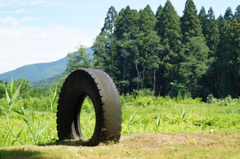 田舎の癒し