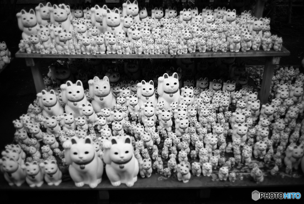 豪徳寺のニャー