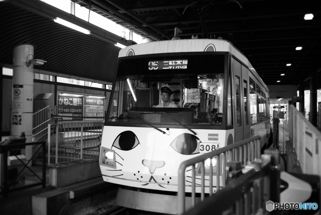三茶に向かうニャー列車