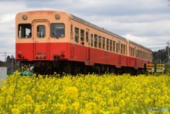 小湊鉄道