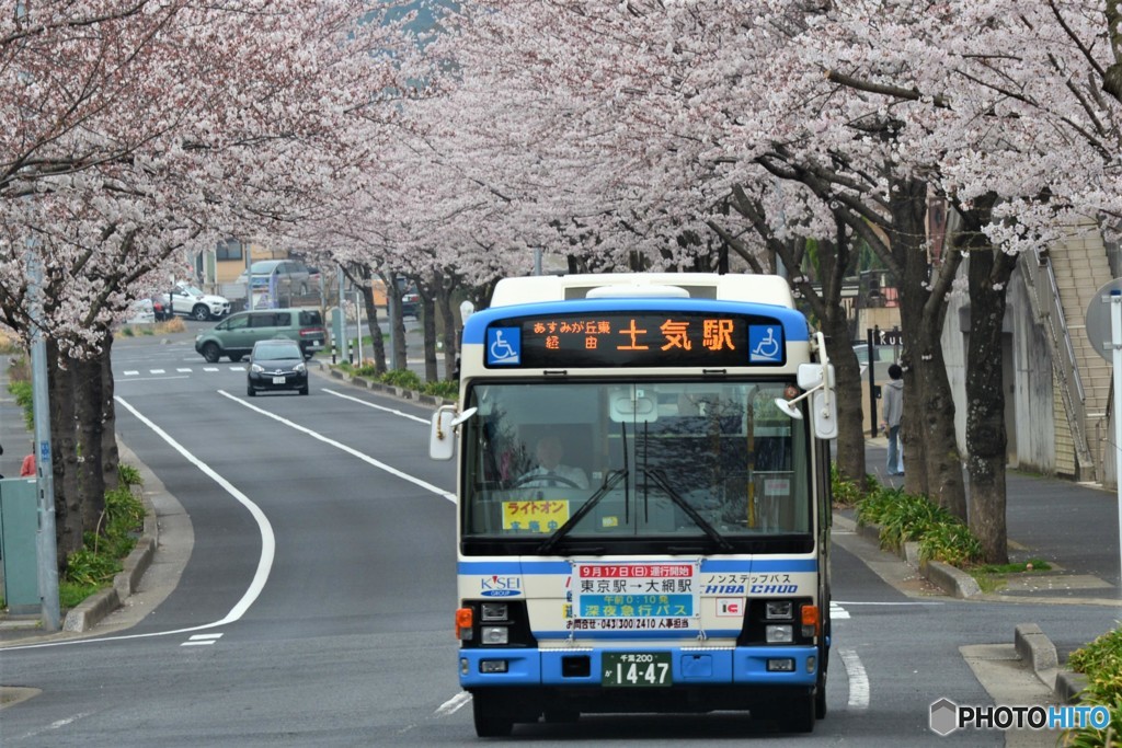 桜街道