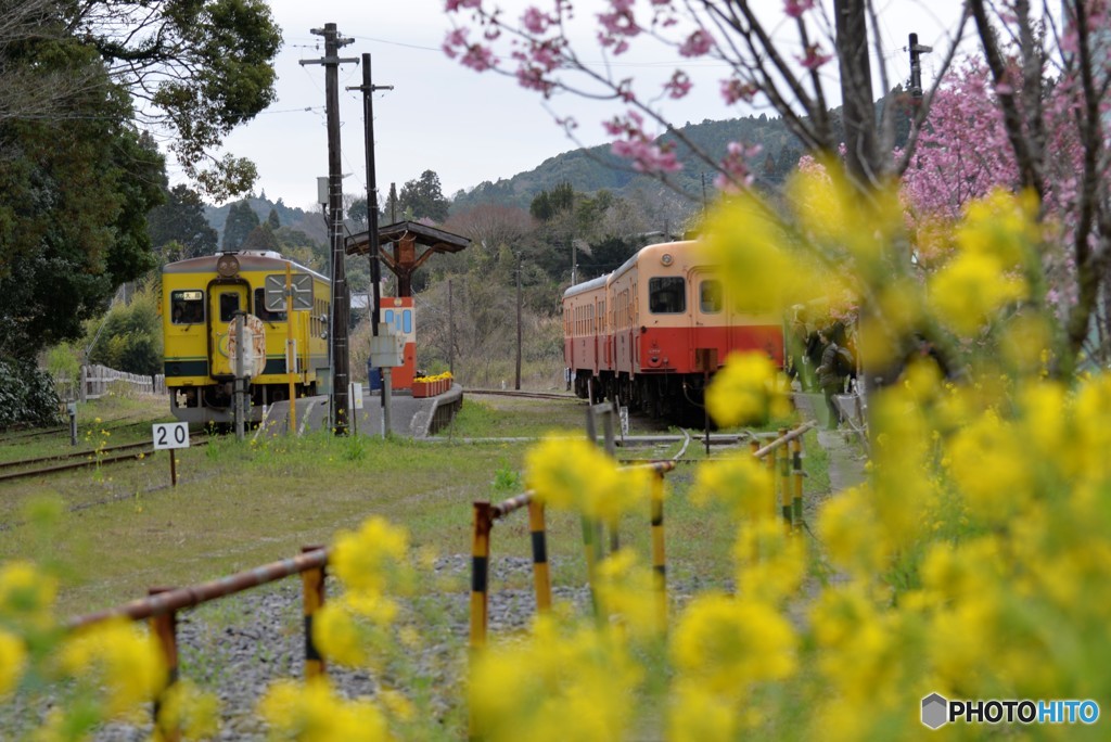 花と鉄道