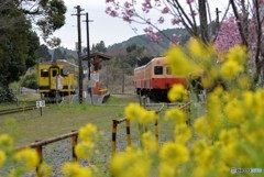 花と鉄道