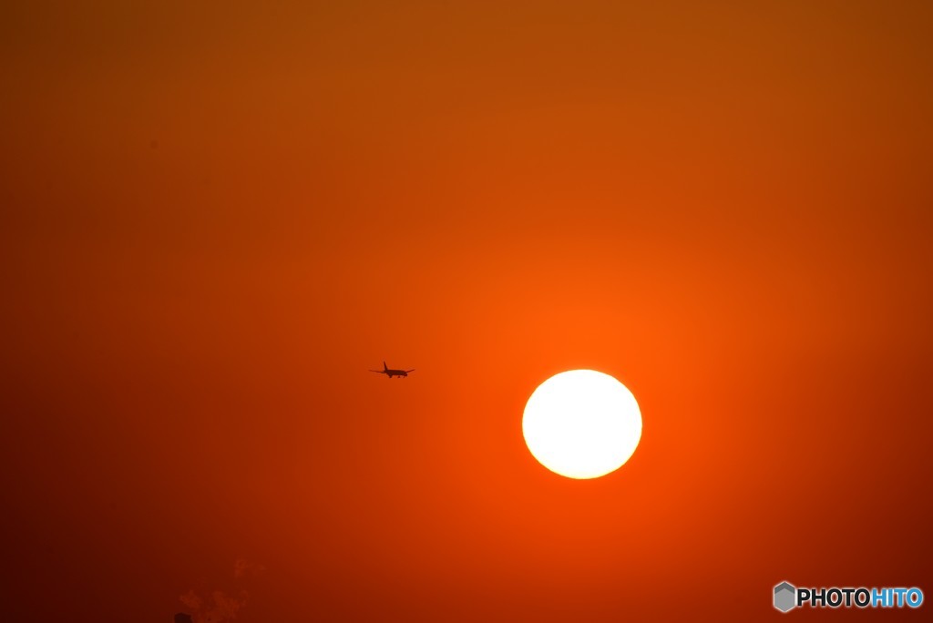 夕陽と飛行機