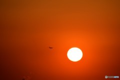 夕陽と飛行機