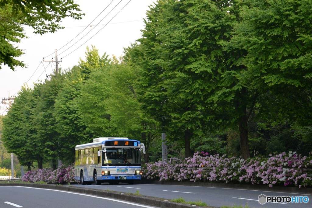 花と緑の路線バス