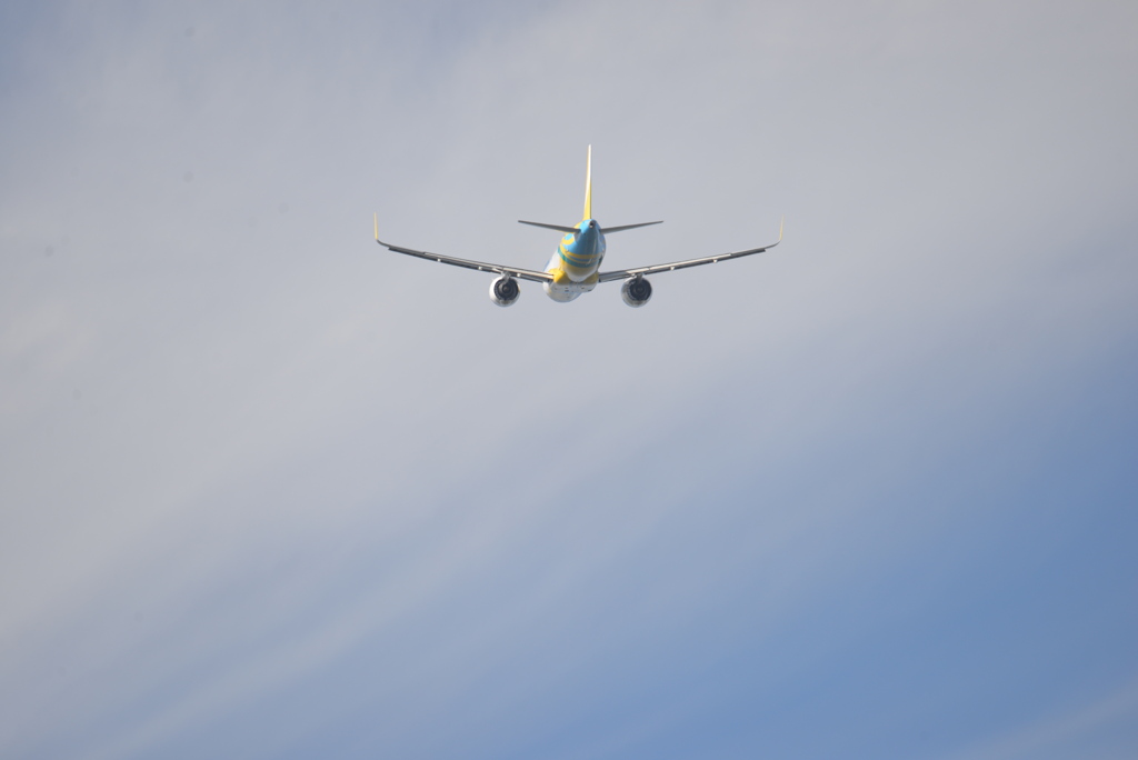 DSC_5375
