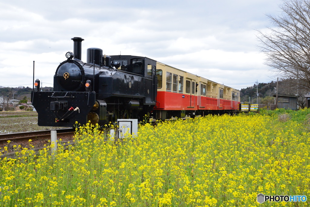 小湊鉄道