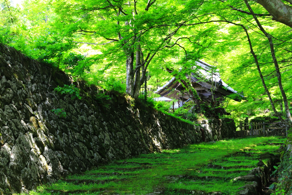 百済寺