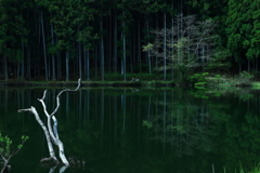 龍王ヶ淵