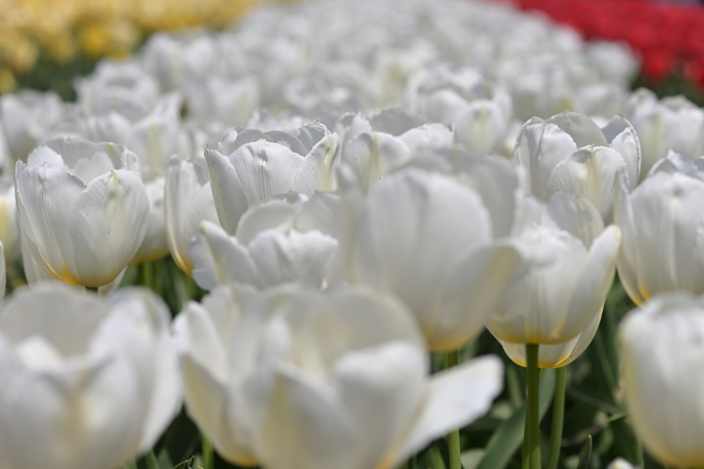 img_20190406