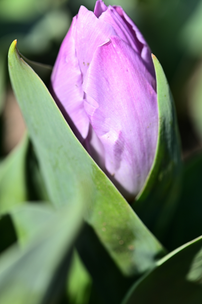 img_20190407