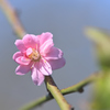 img_20190407
