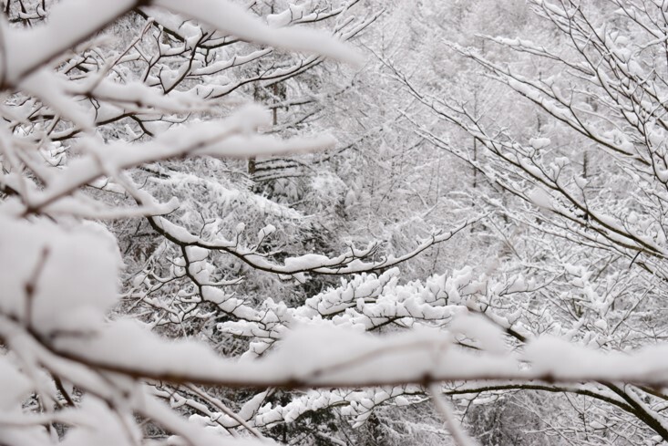 雪のトンネル