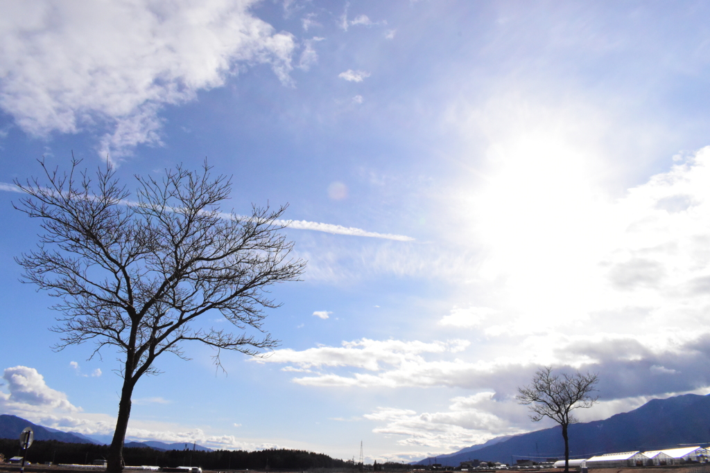 太陽に向かう