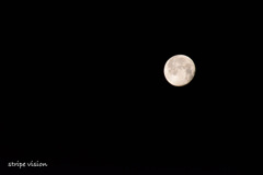 夜明け前の月