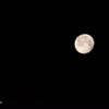 夜明け前の月