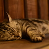 幸せの温もり