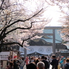 春の