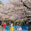 夕方
