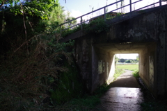トンネル小
